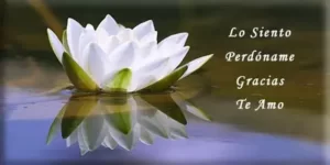 lo-siento-perdon-gracias-te-amo